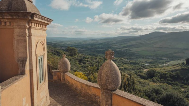 Le pastel en Occitanie : renaissance d’une plante aux racines historiques et économiques