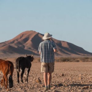 Agence de voyage namibie : comment choisir entre un tour-opérateur généraliste et un spécialiste comme Hors Pistes