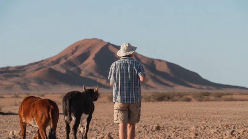 Agence de voyage namibie : comment choisir entre un tour-opérateur généraliste et un spécialiste comme Hors Pistes