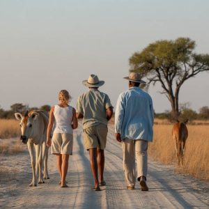 Voyage botswana 2026 : Hors Pistes Afrique Australe dévoile ses nouveaux safaris sur mesure