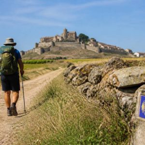 Les chemins de Saint-Jacques en Occitanie : itinéraires, patrimoine et retombées pour le tourisme local